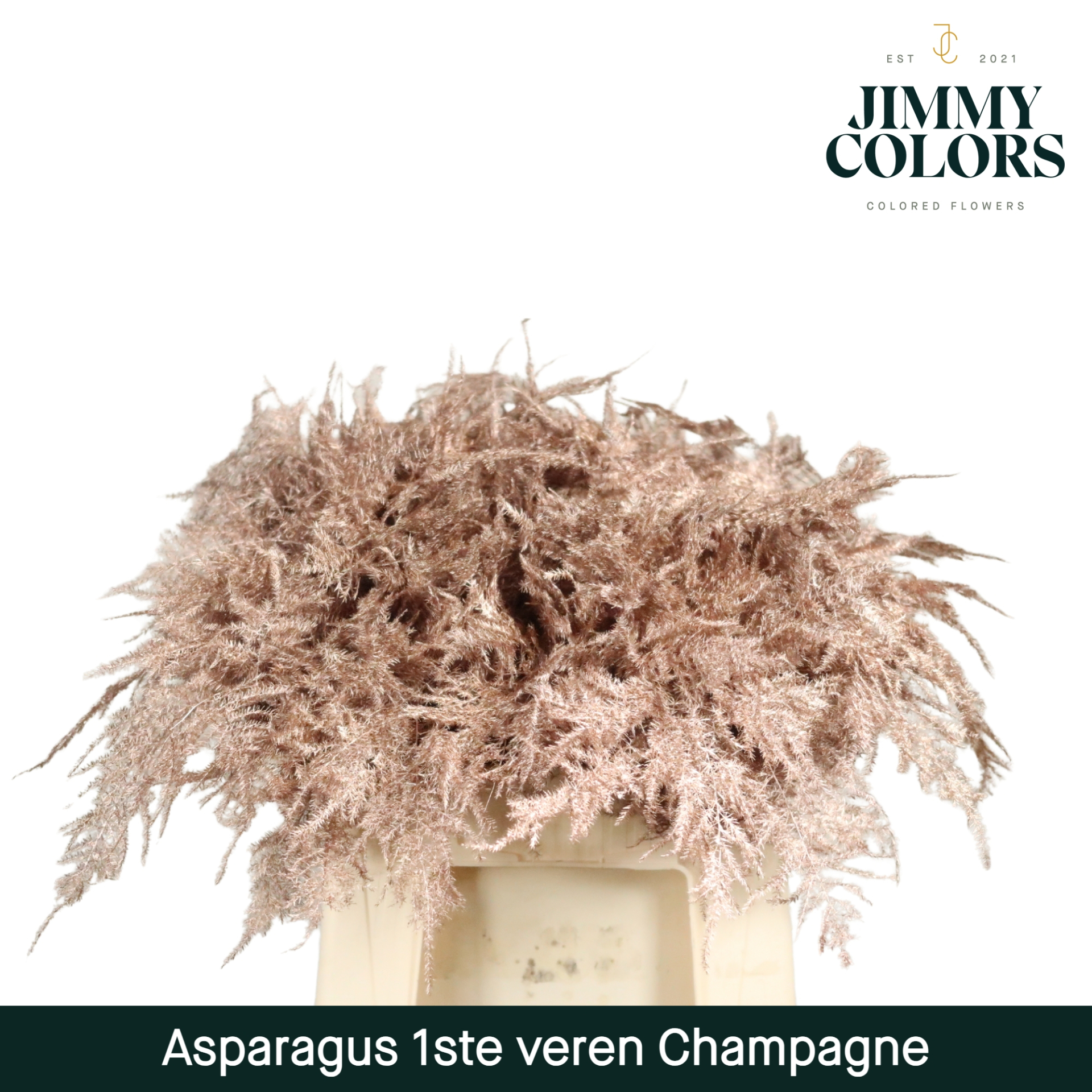 Aspa 1ste Veren Mtlc. Champagne