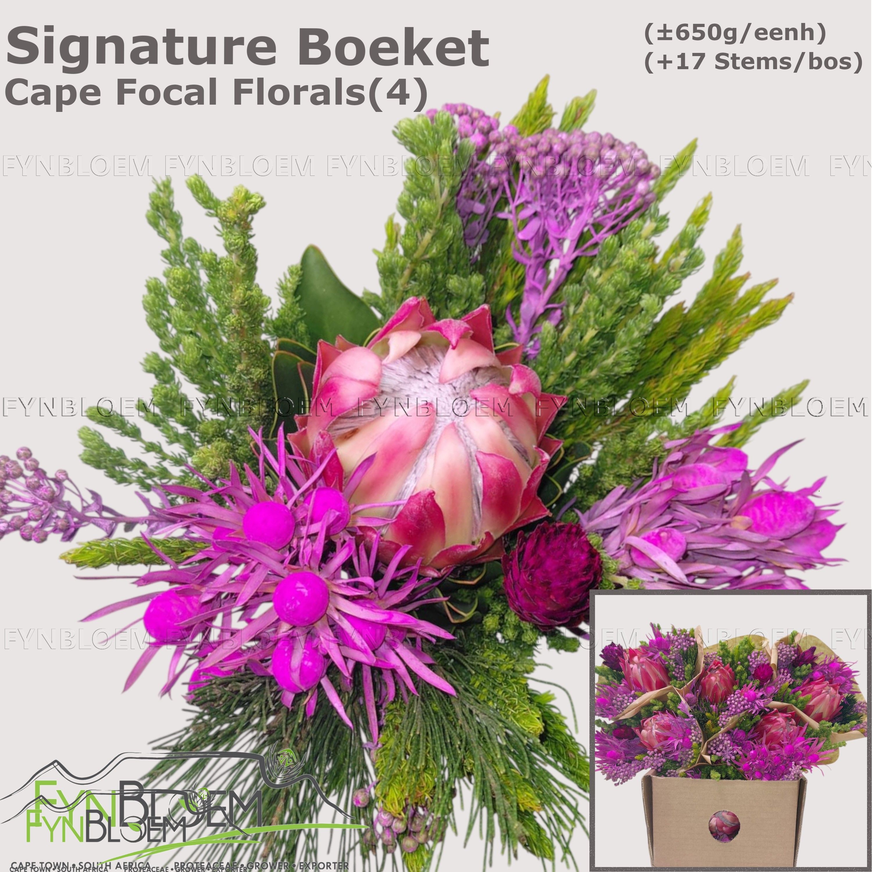 Protea Bouquet Per Bunch 50cm