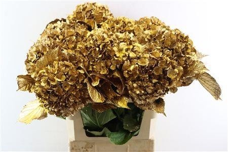 Hydrangea Painted 80cm 22Ø