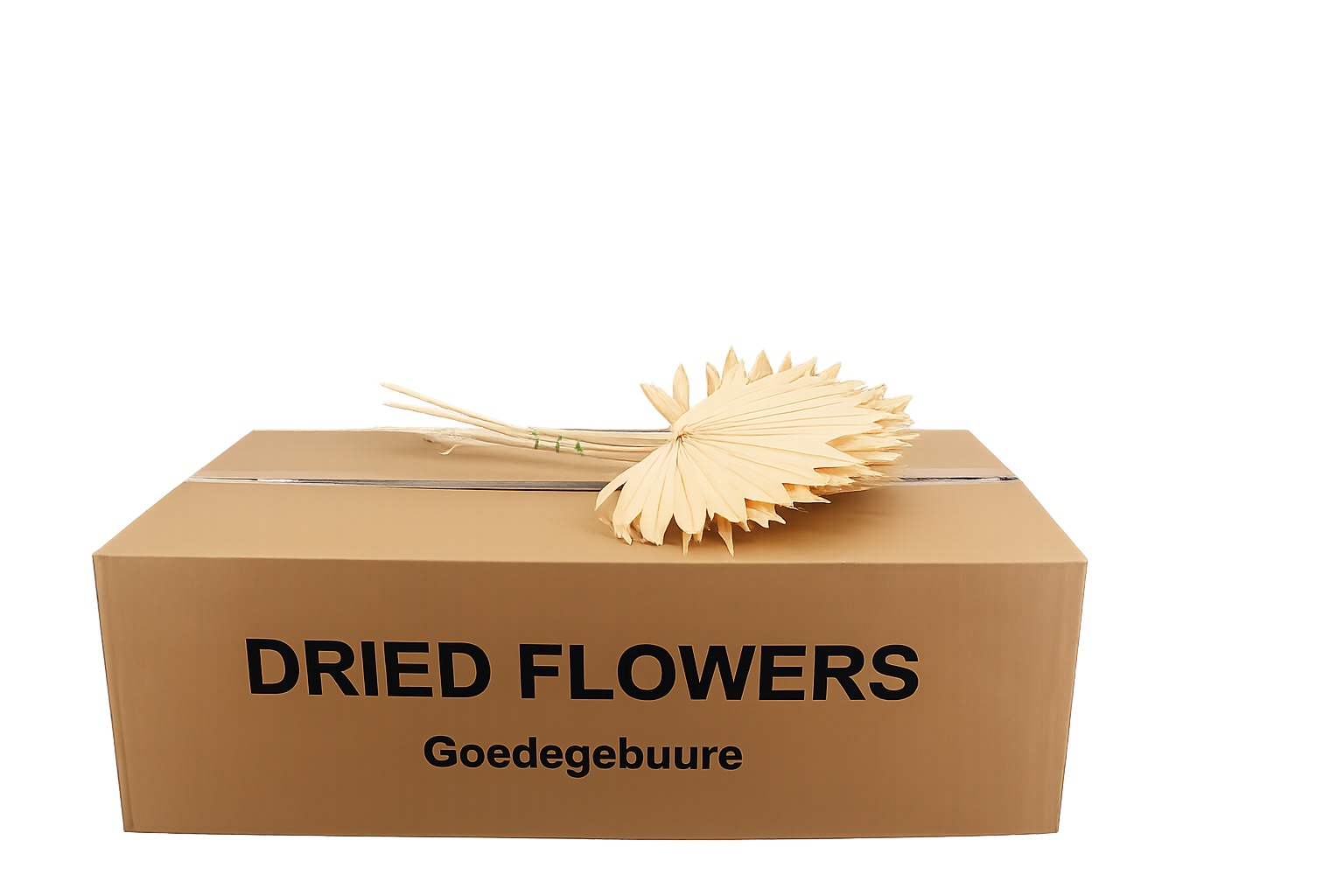 Droogbl Bewerkt H%