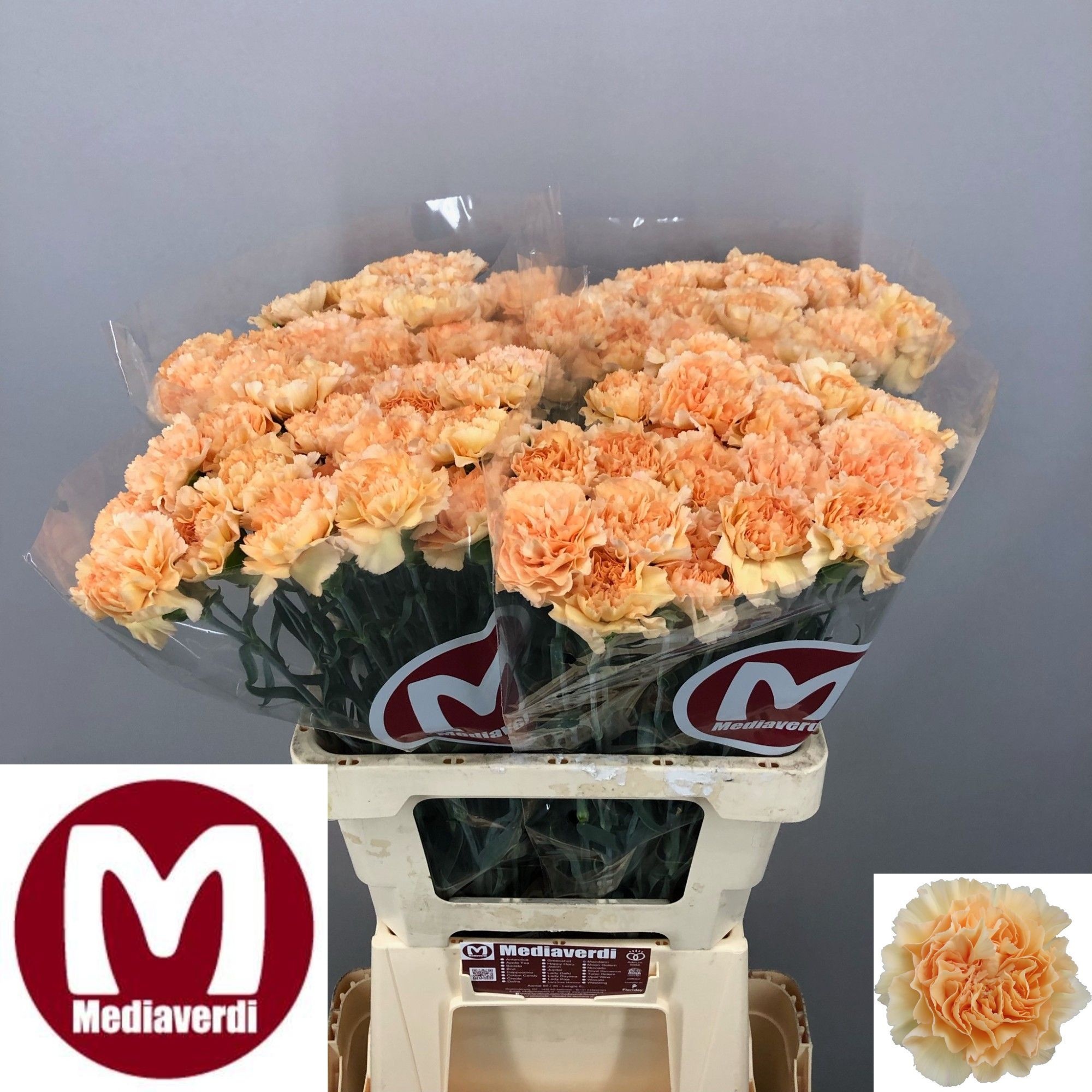 Di St Mandarin