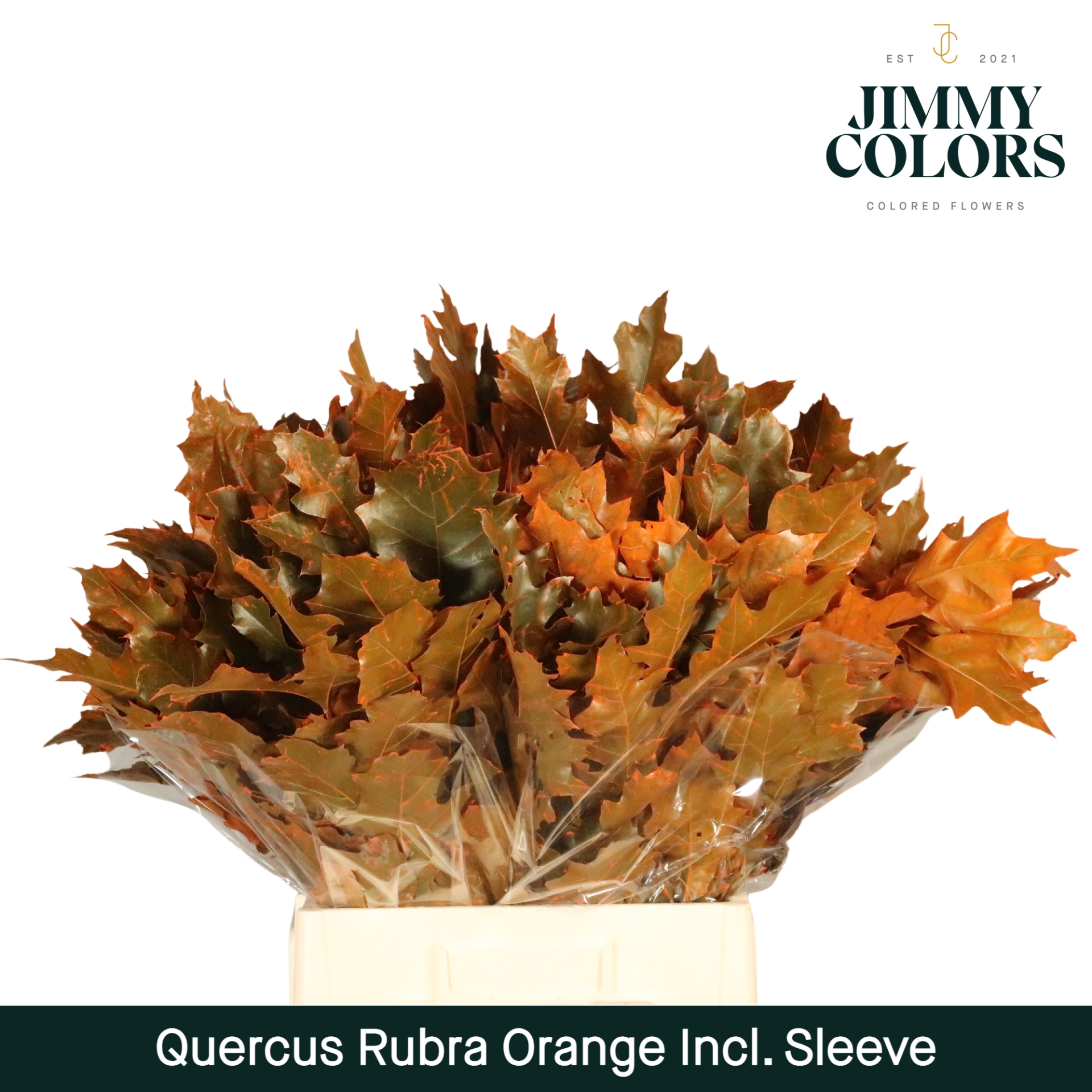 Quercus Rubra Sleeve L60 Oranje