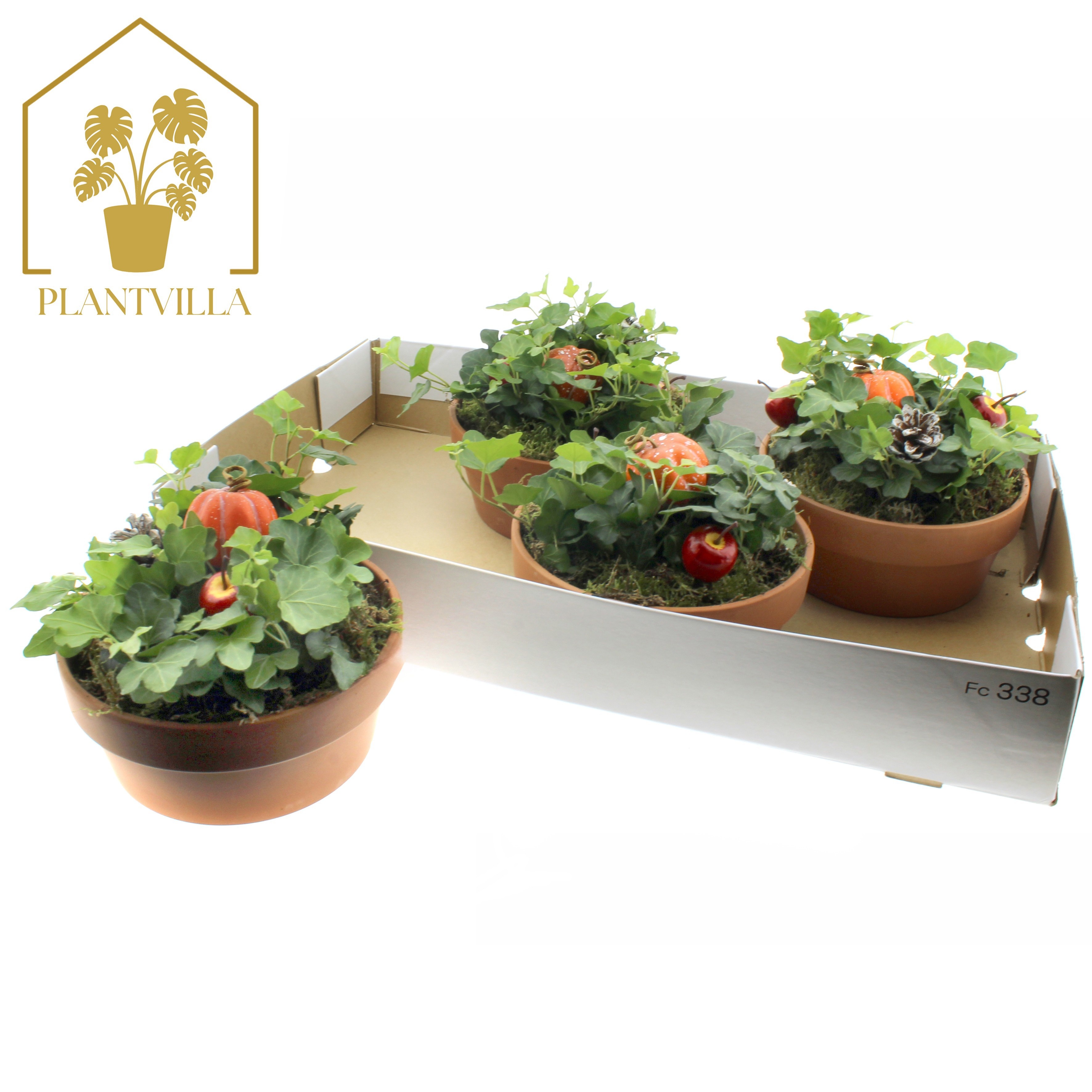 Arr Tuinplanten 18P 30cm 99bloei