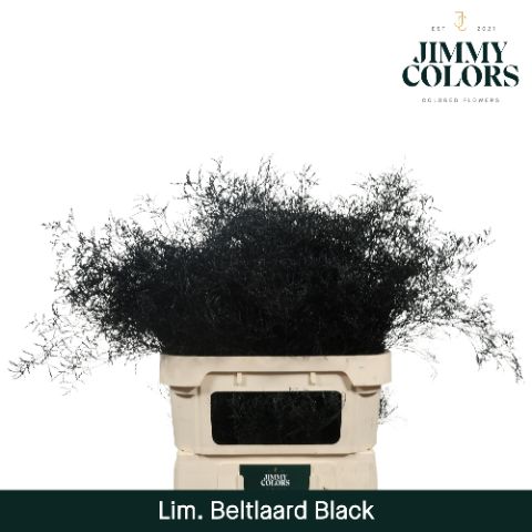 Lim Bel L90 Black