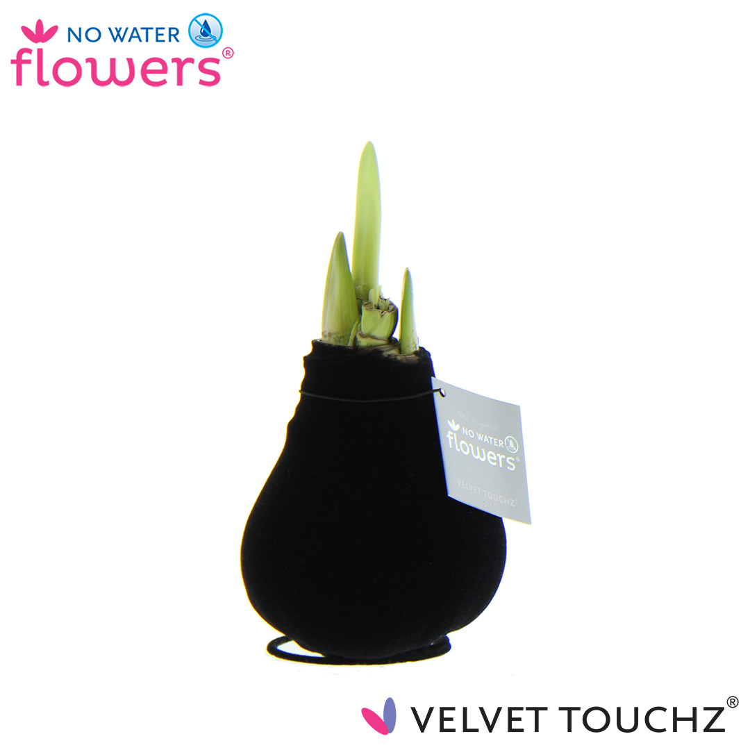 Picture of No Water Flowers Velvet Touchz® Black 15CM