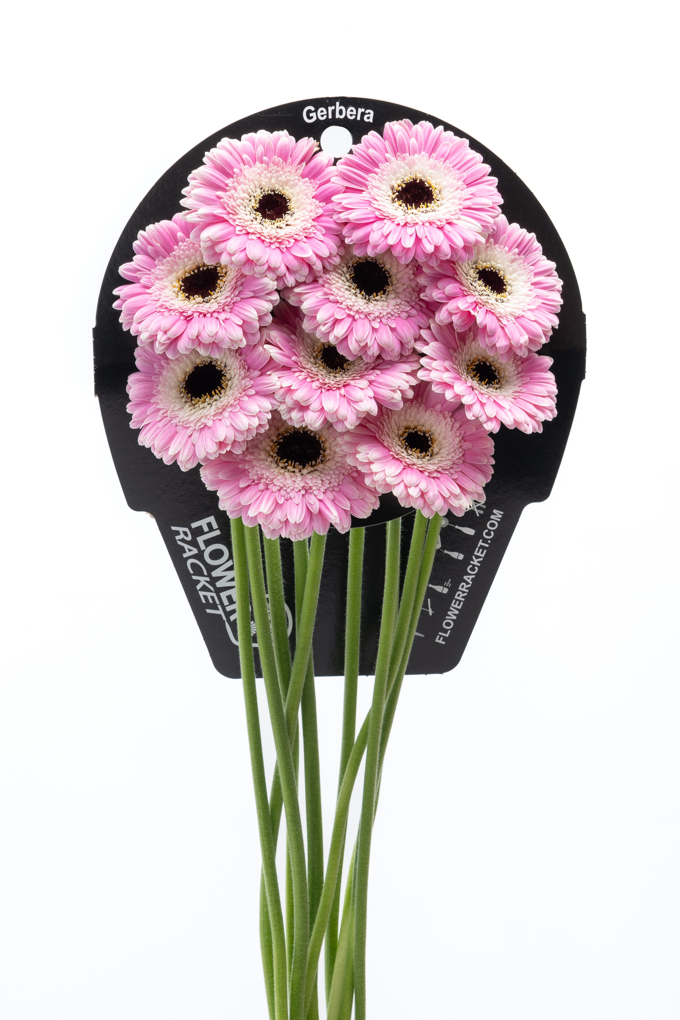 Ge Mi Tahiti Flowerracket