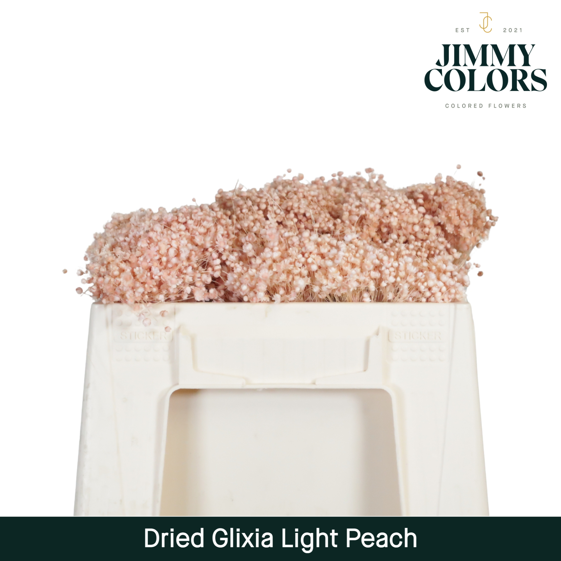 Dried Glixia Light Peach