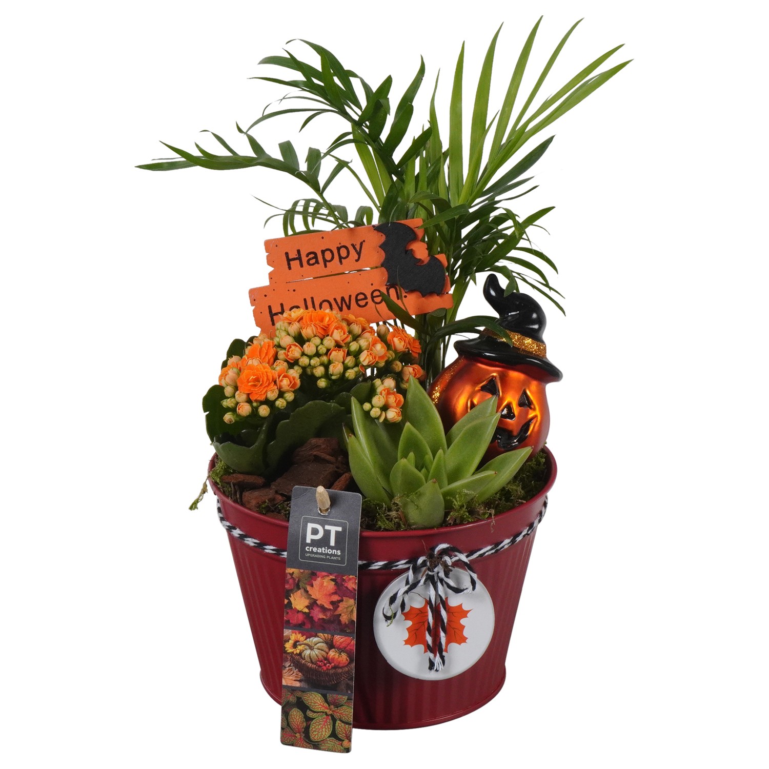 Picture of PTHL1924 Arrangement Halloween in zinc pot P15 30CM