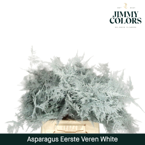 Aspa 1ste Veren + Glitter White + Glitter