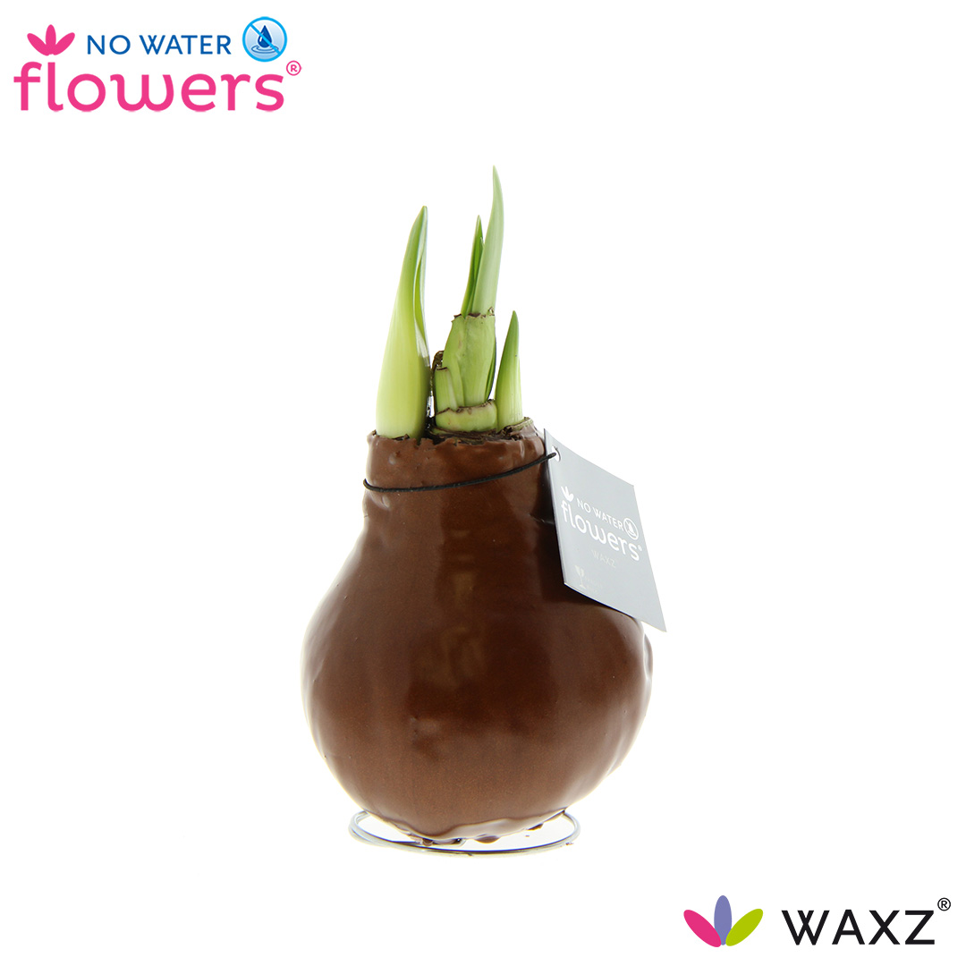 Picture of No Water Flowers Waxz® Metallic Copper 15CM