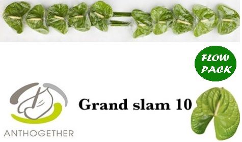 Anth A Grand Slam