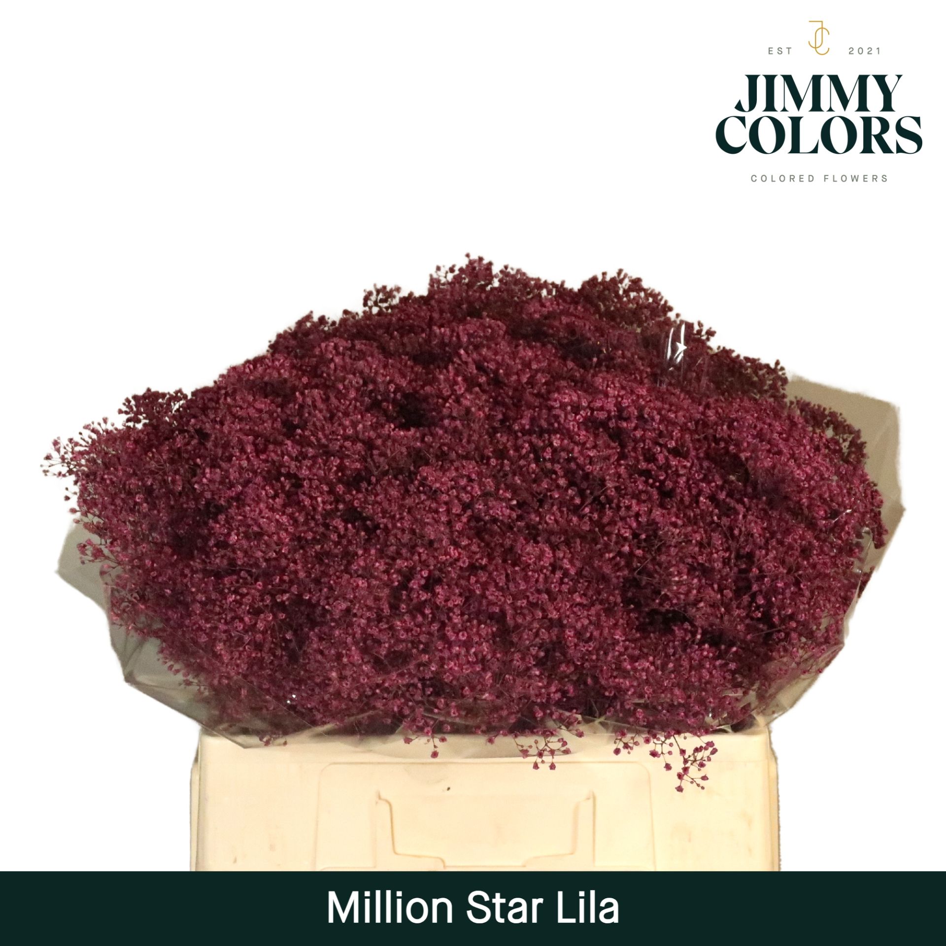 Gyps Million Star L60 Lila