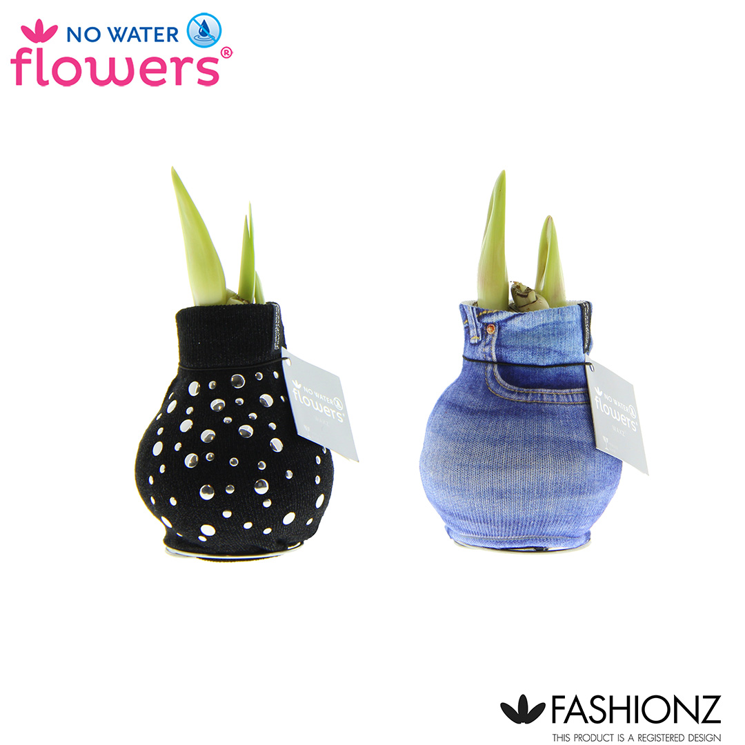 Picture of No Water Flowers® Fashionz Streetlife 15CM