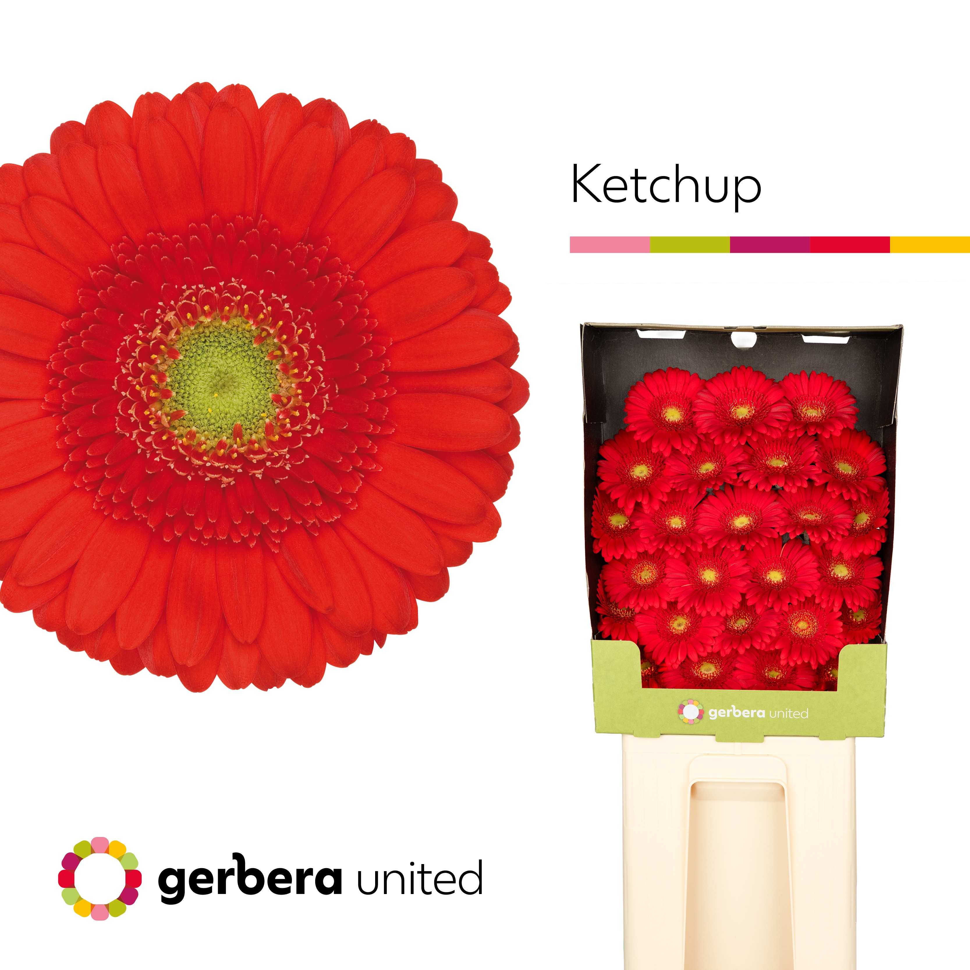 Ge Mi Ketchup