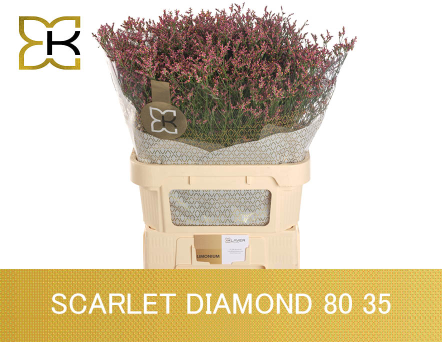 Lim Sin Scar Diamond