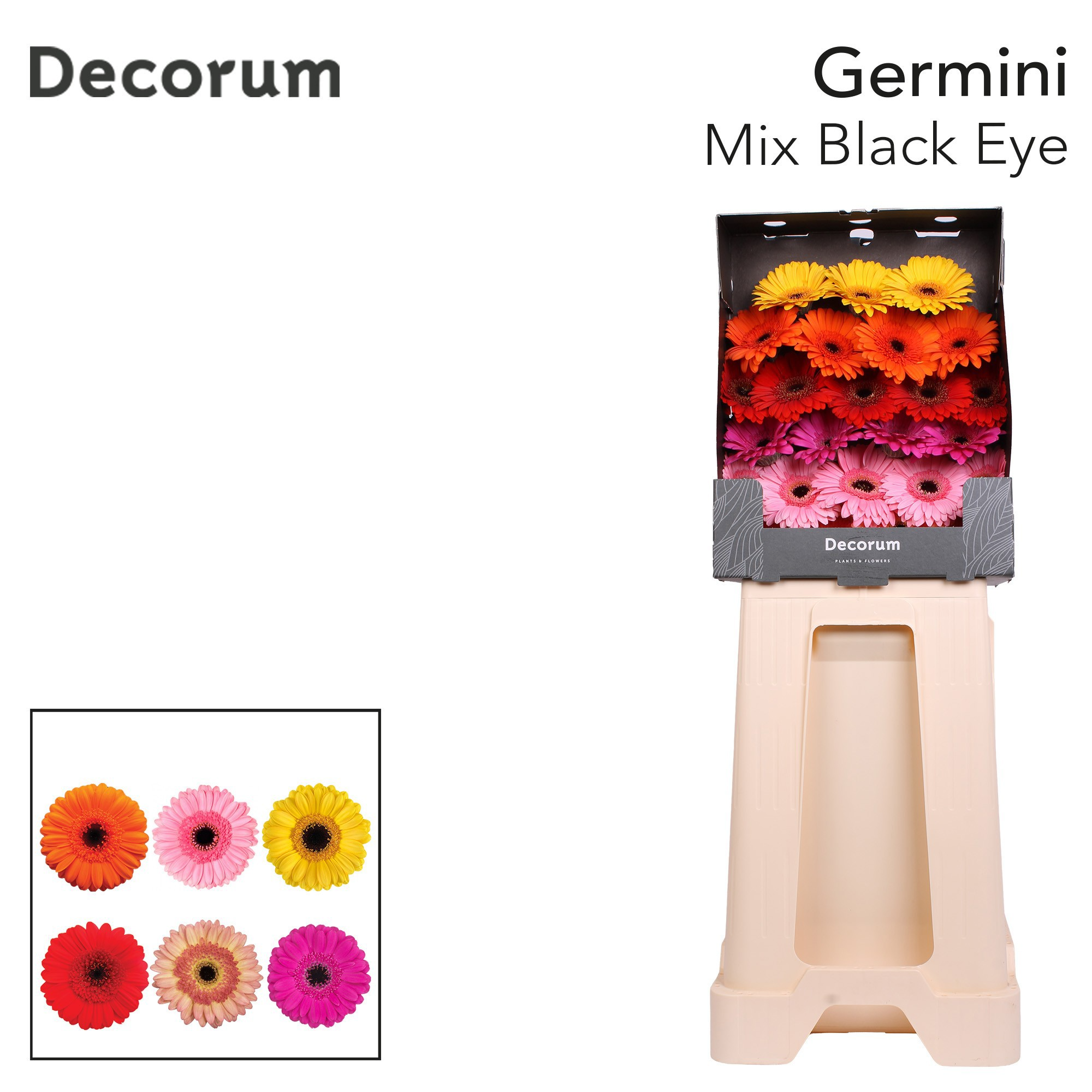 Ge Mi Gem