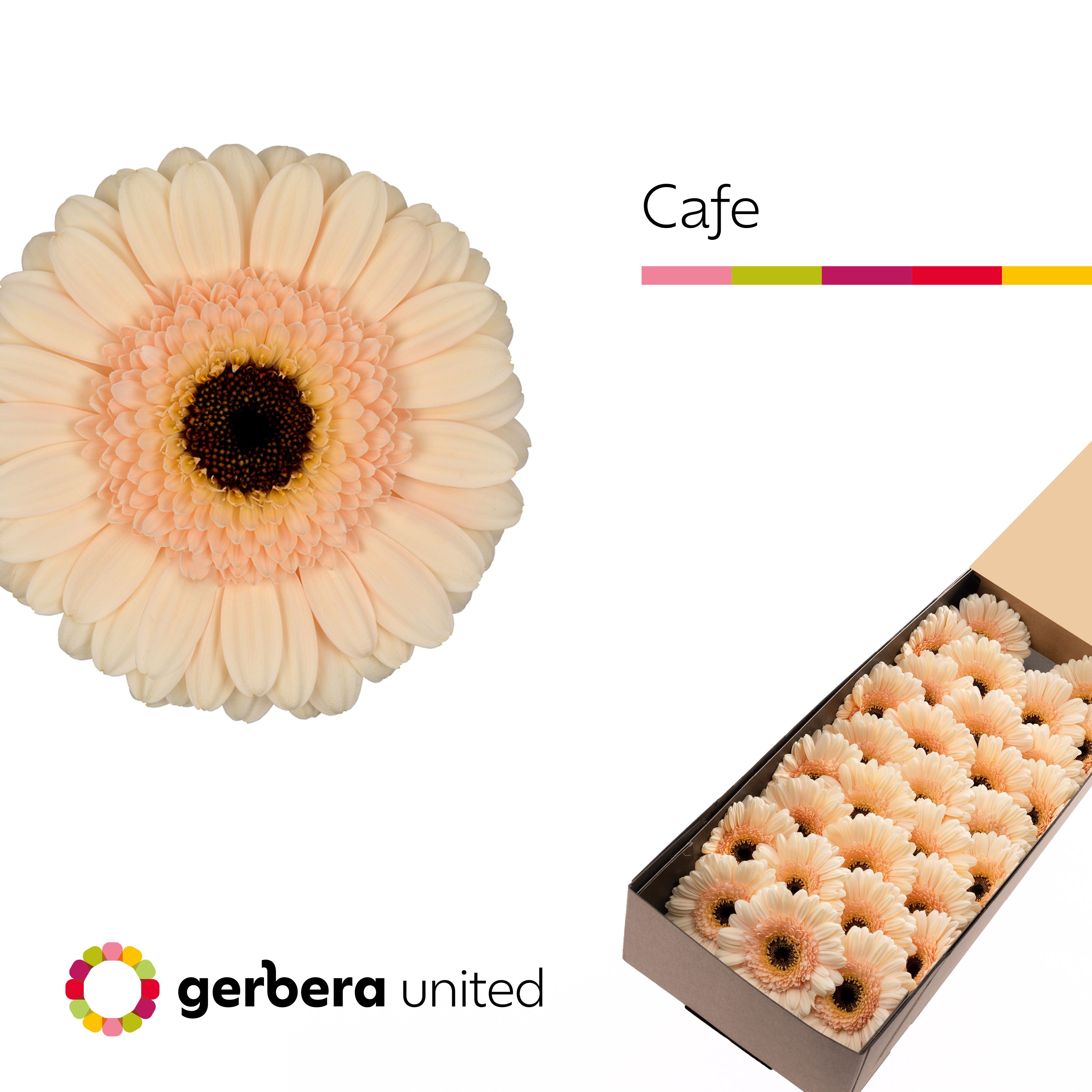 Ge Mi Cafe