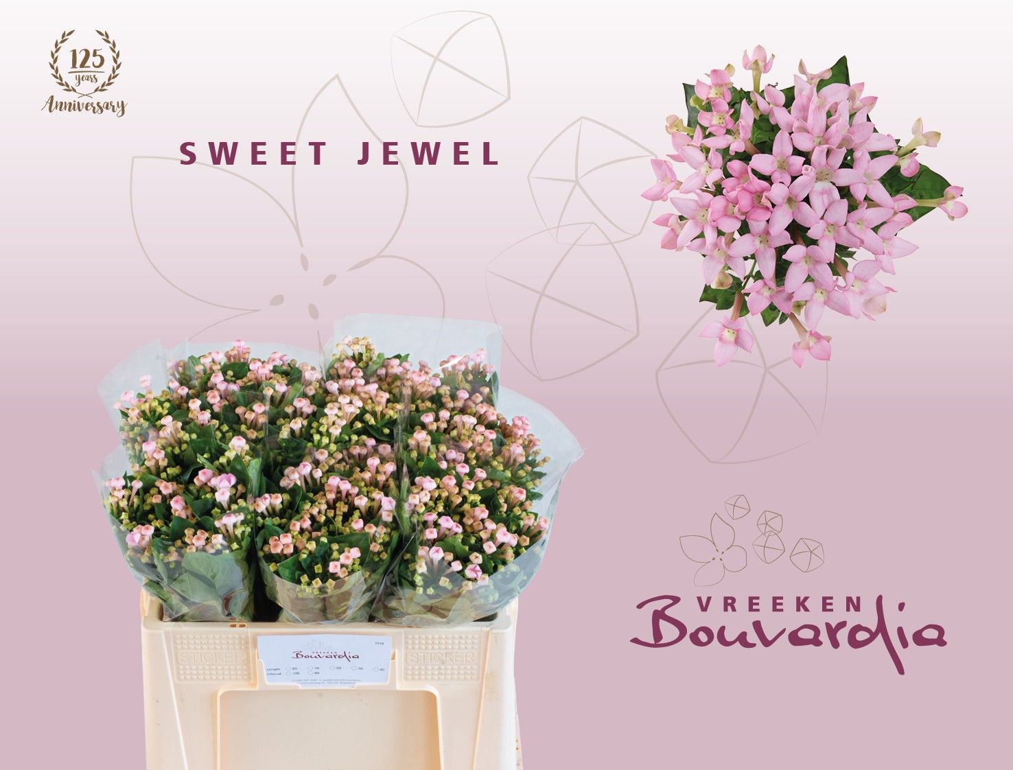 Bou En Sweet Jewel