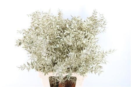 Dried/preserved Flowers Misc 60cm 18gram