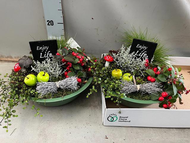Arrangement Garden Plants 32Ø