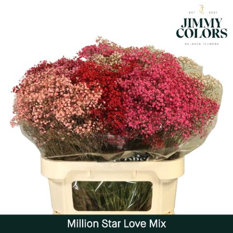 Gyps Million Star L80 Love Mix