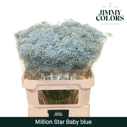 Gyps Million Star L80 Light Blue