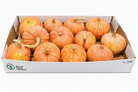 Ornamental Fruits Per Piece