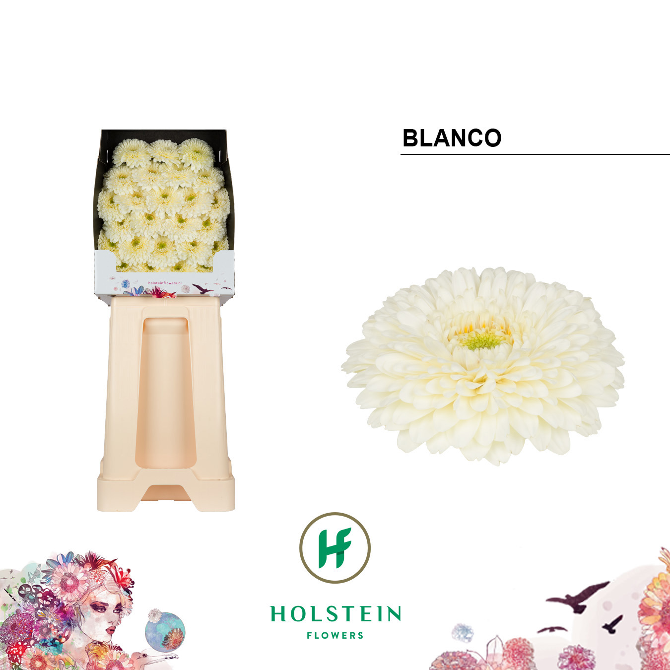 Ge Mb Gerponi Blanco