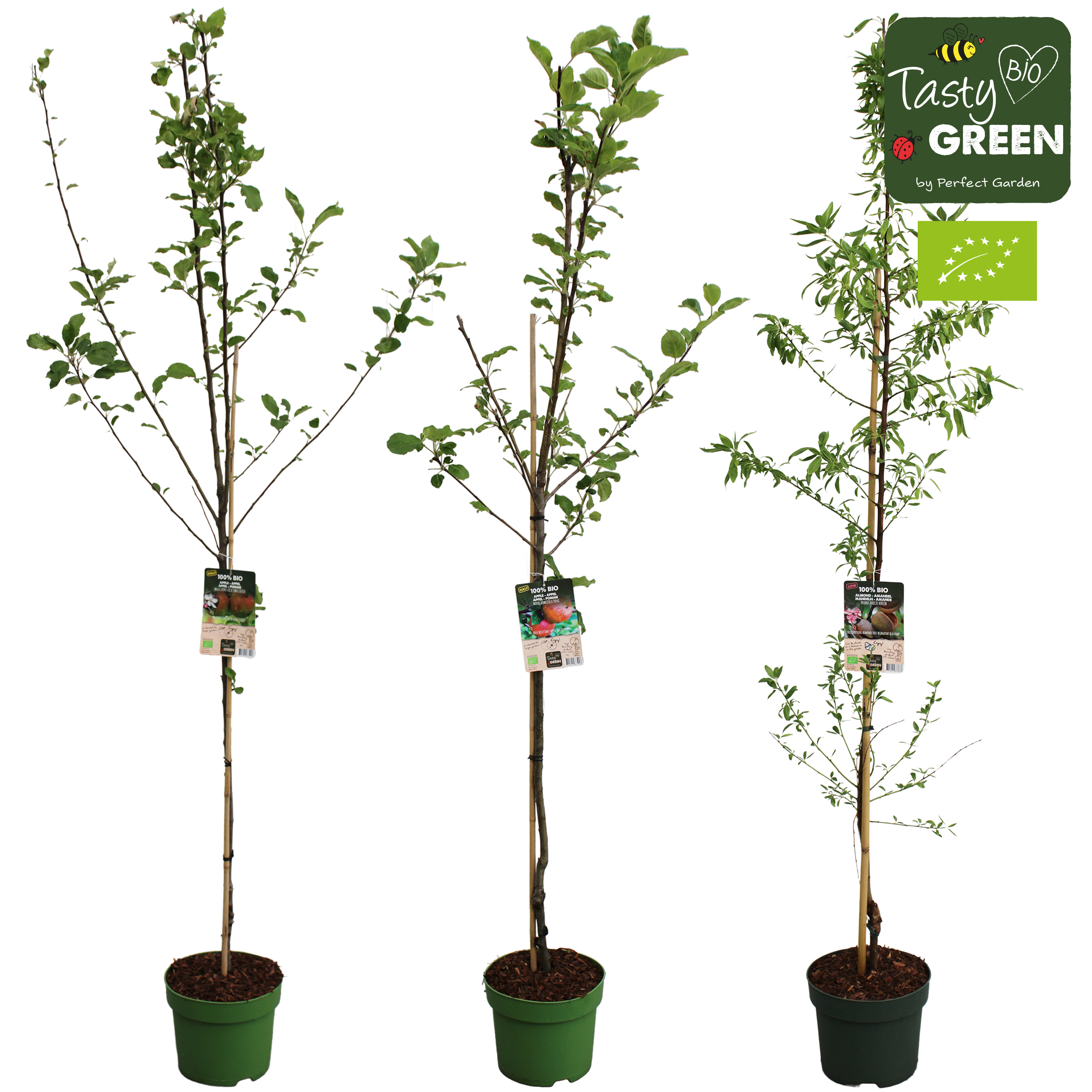 Picture of Bio fruitbomen half-trunks mix CC P27