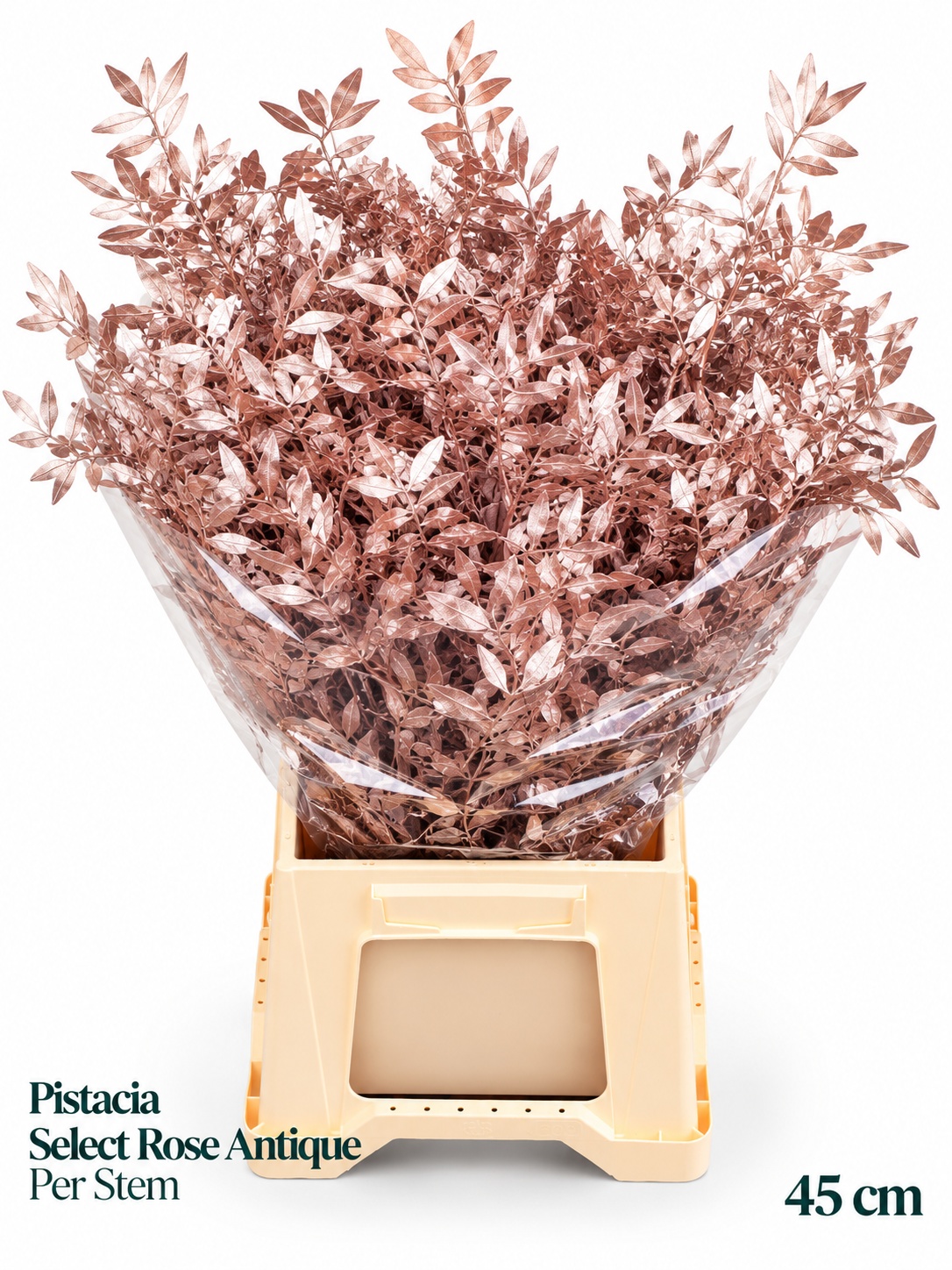 Pista Klb H% 45cm