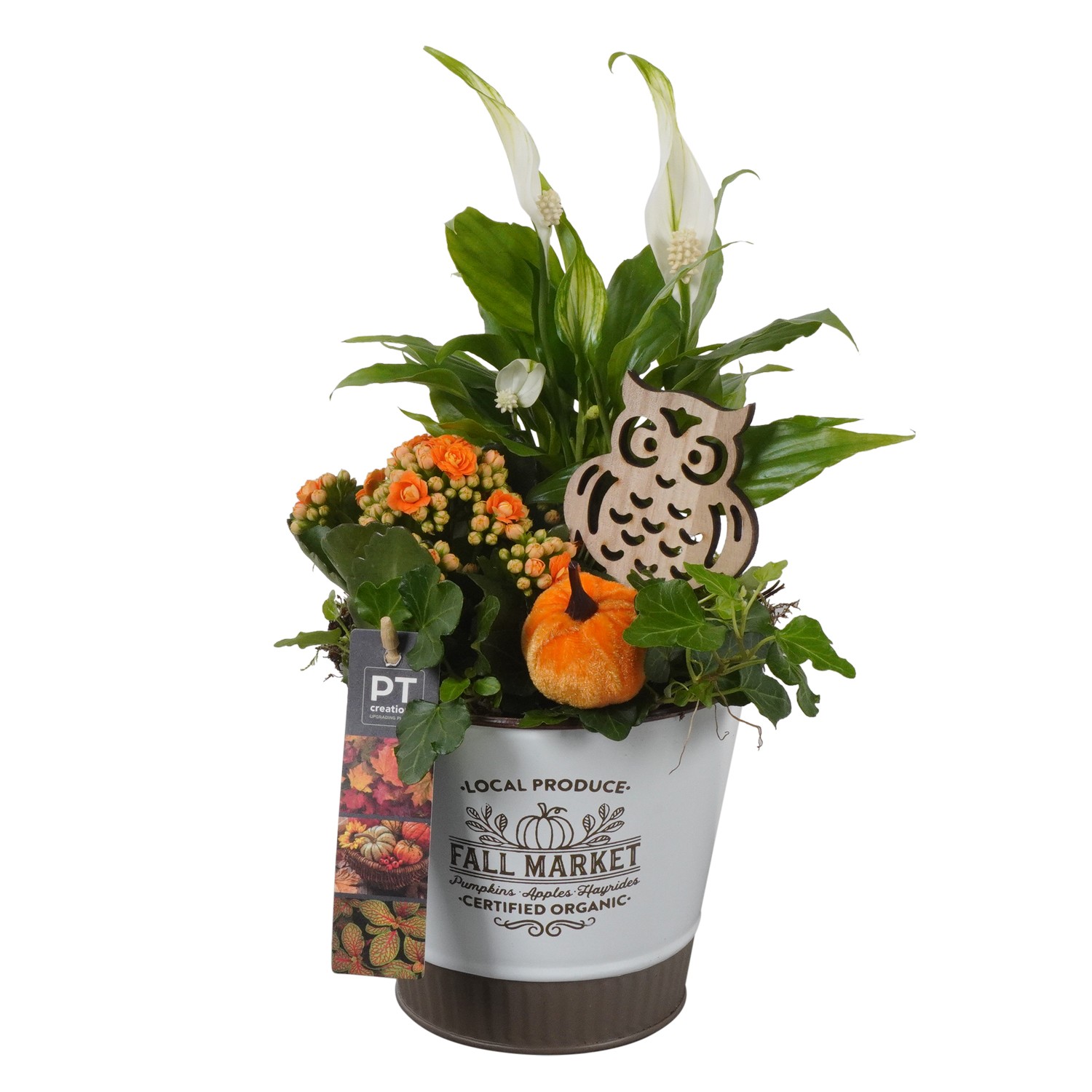 Picture of Arrangement Autumn Indoor in zinc pot PTHI7029 P14 35CM