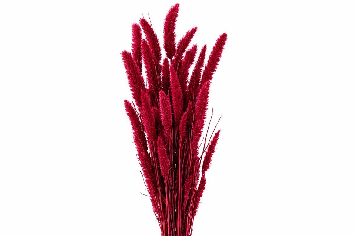 Dried/preserved Flowers Misc 70cm 200gram