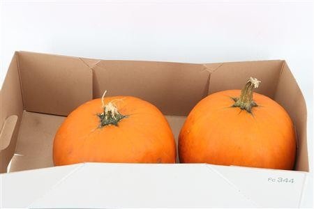 Ornamental Fruits Per Piece