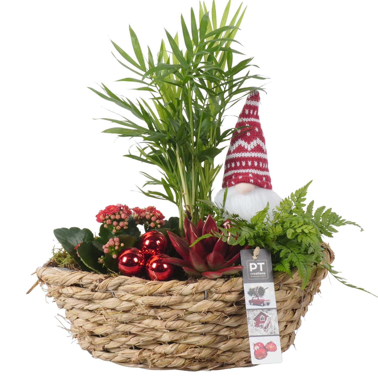 Picture of PTKB9339 Arrangement X-Mas in grass boat P30 35CM