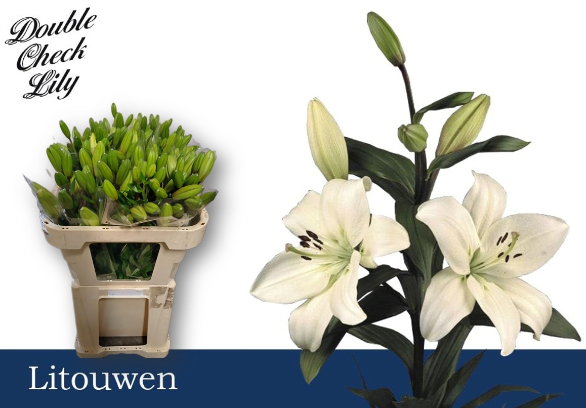 Li La Litouwen