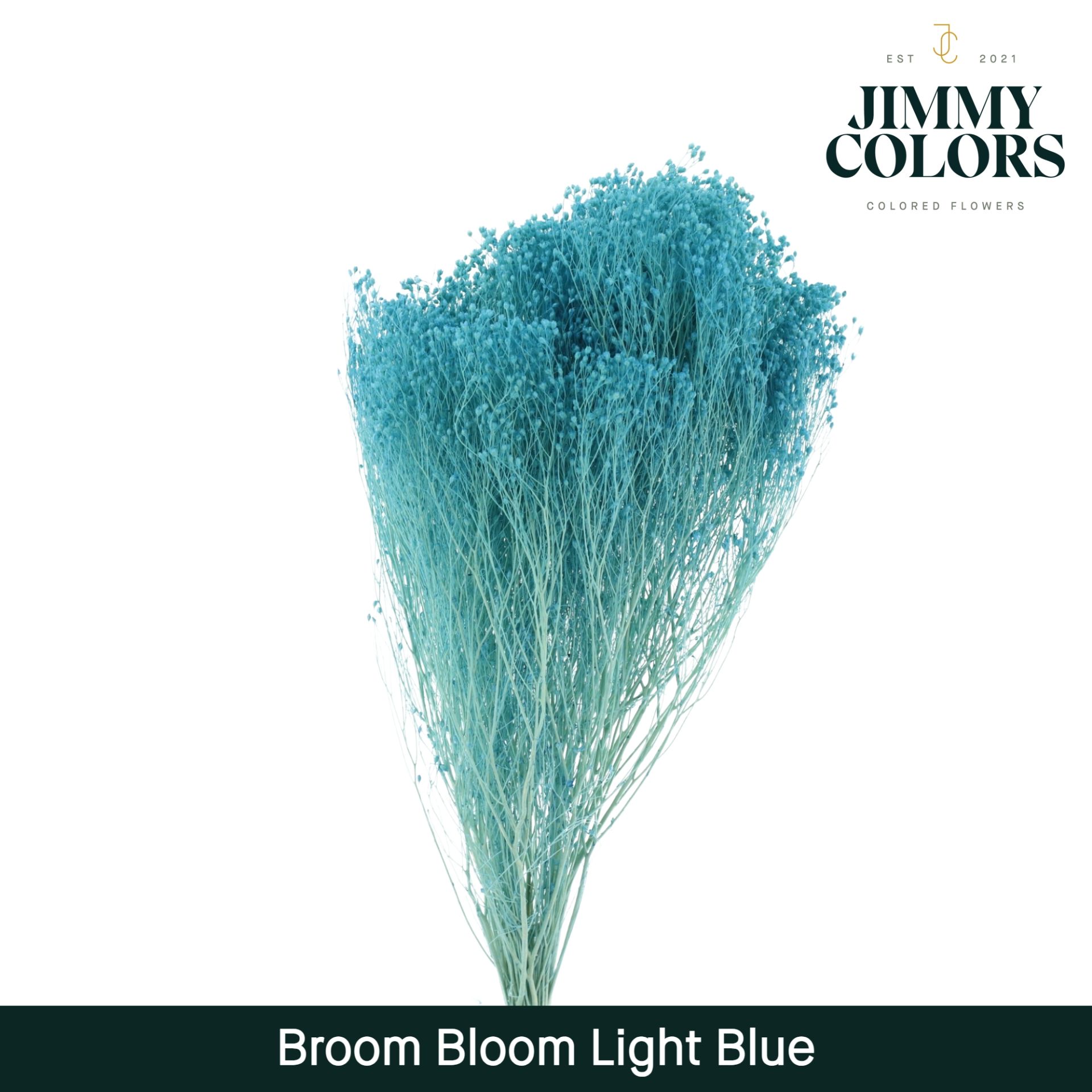 Broom Bloom Light Blue
