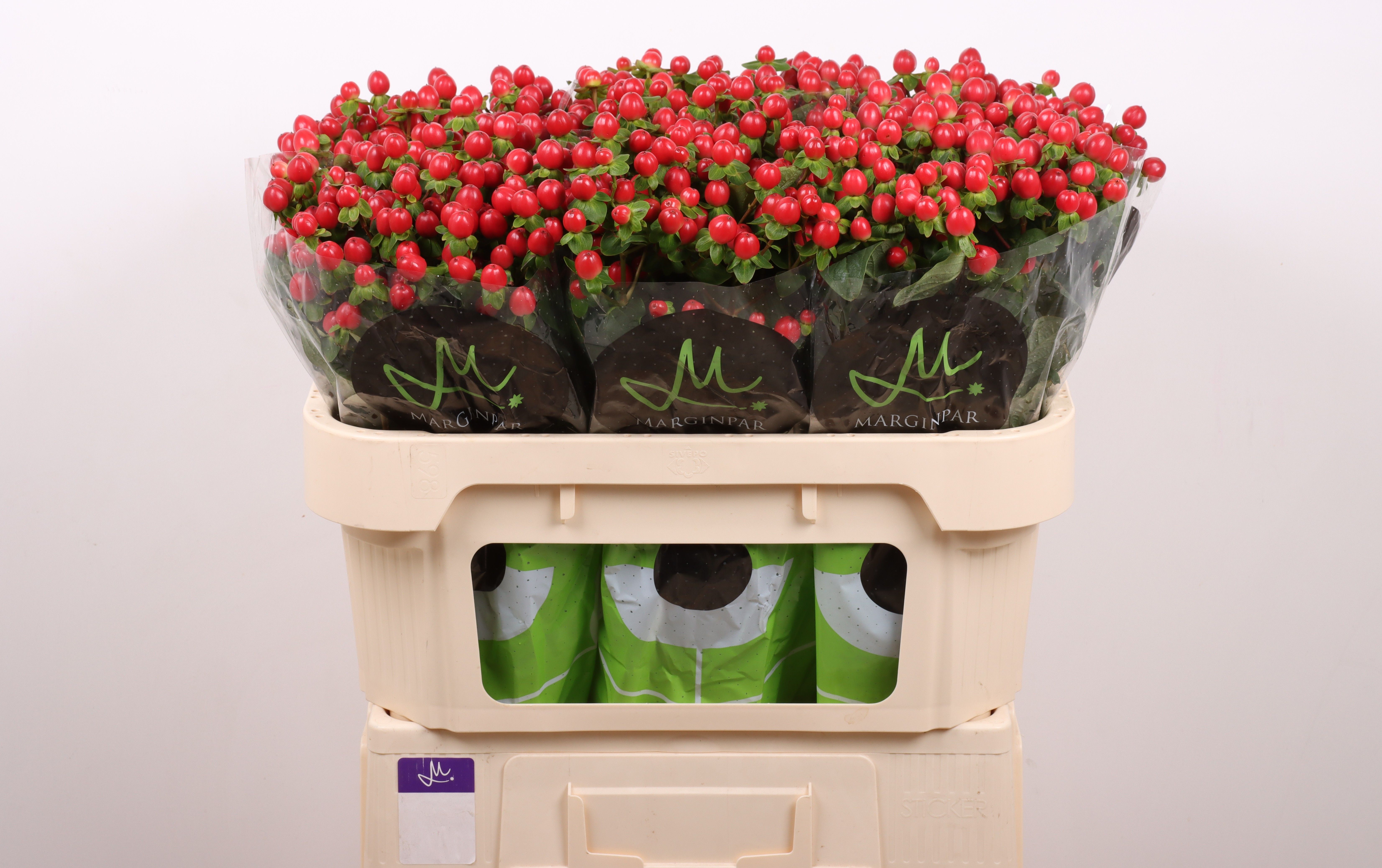 Hyp Tomato Flair