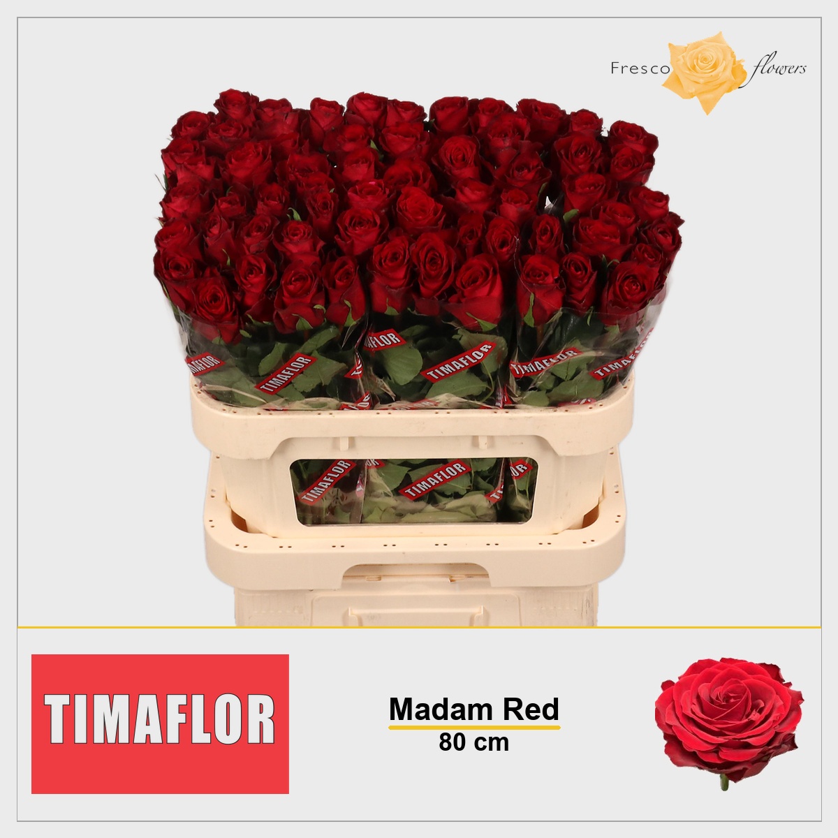 Rosa Madam Red 80cm
