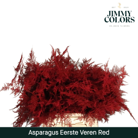 Aspa 1ste Veren + Glitter Red + Glitter