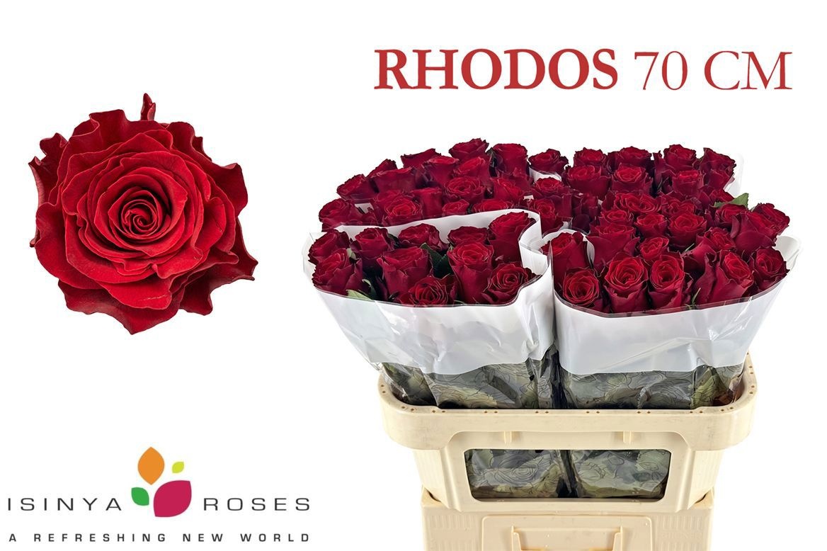 R Gr Rhodos
