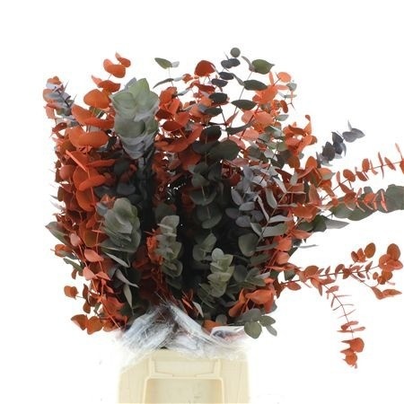 Decoration Greens Painted 70cm 200gram