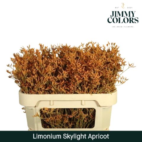 Lim Skylight L70 Apricot