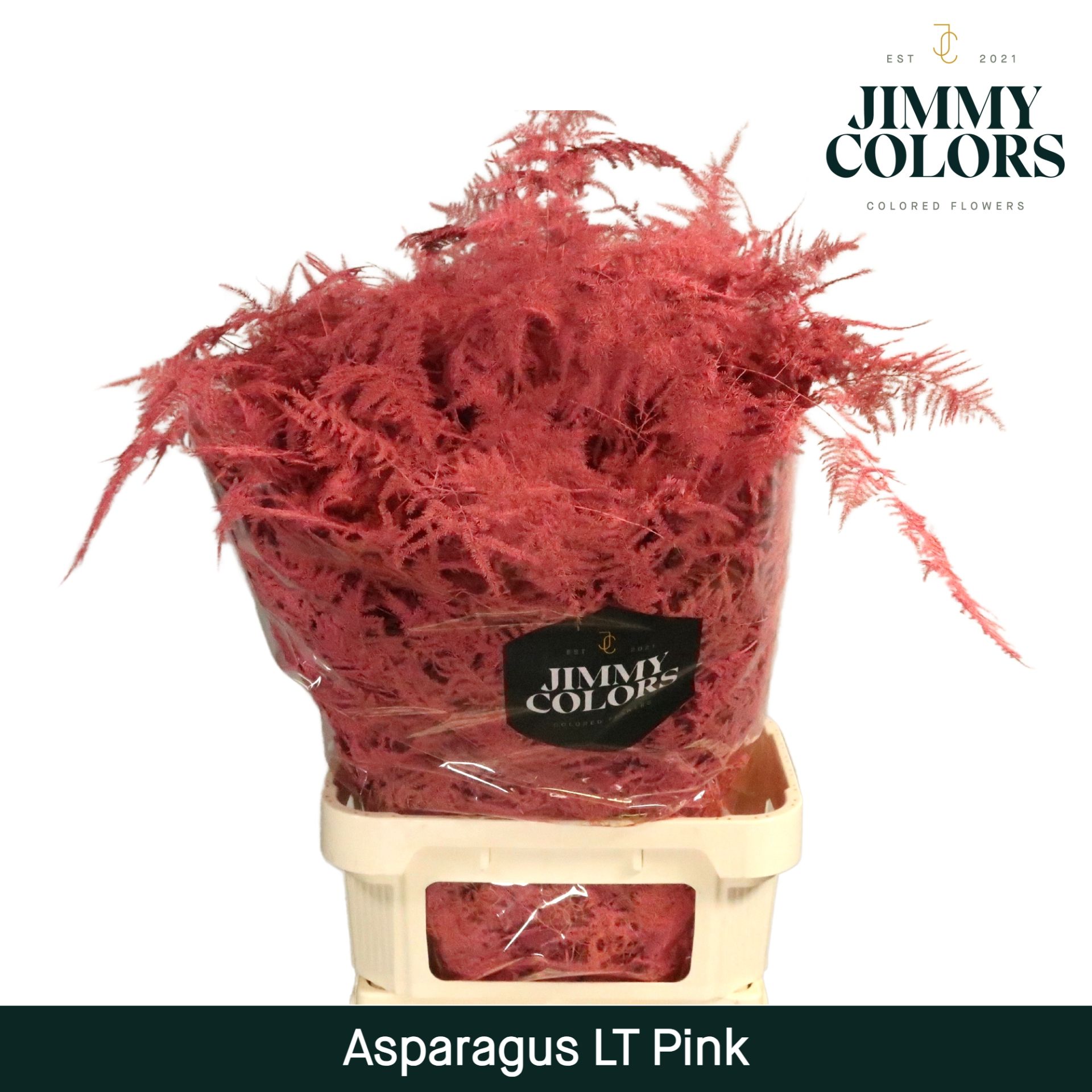 Aspa Lang Getopt Pink