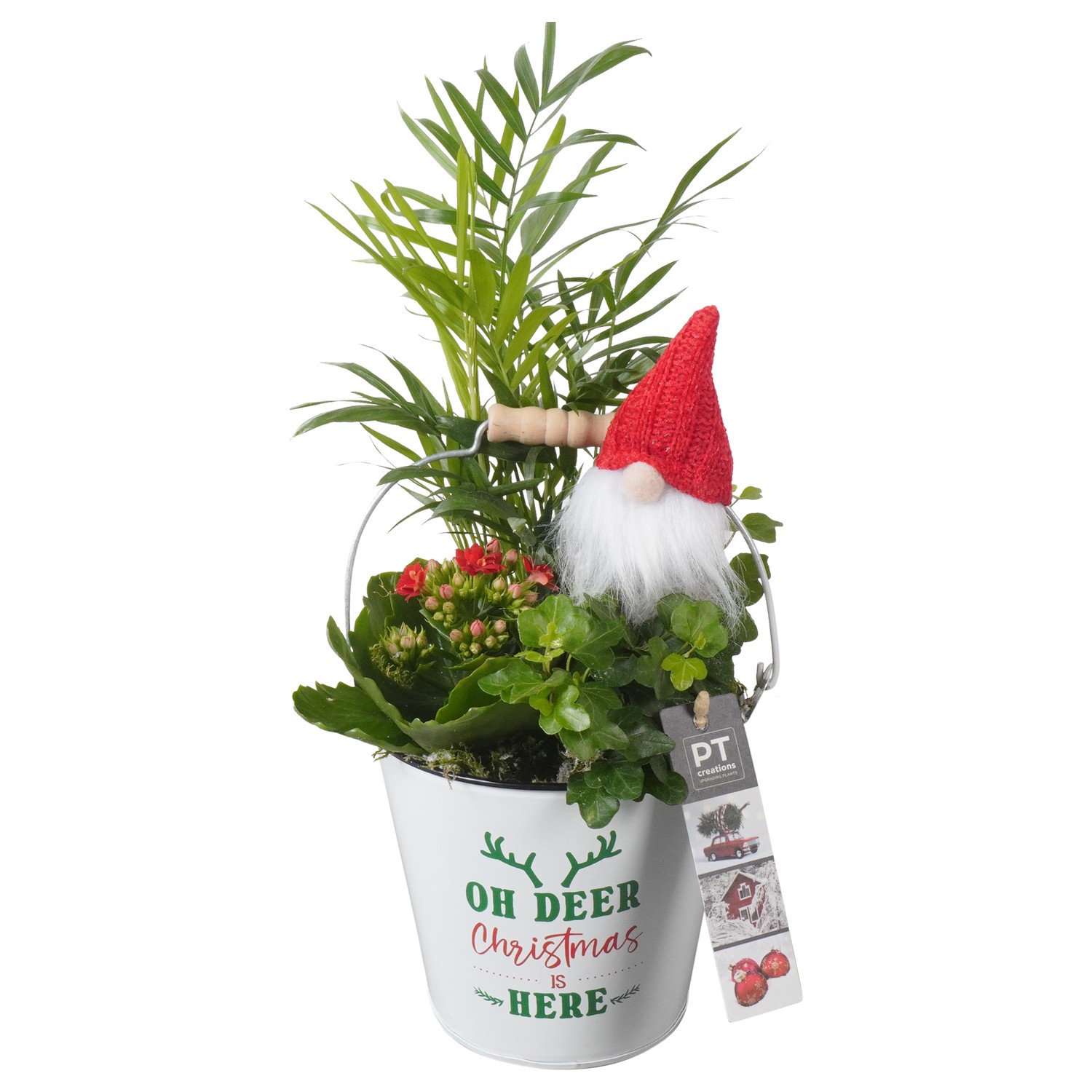 Picture of PTKB9430 Arrangement X-Mas in zinc bucket P14 36CM