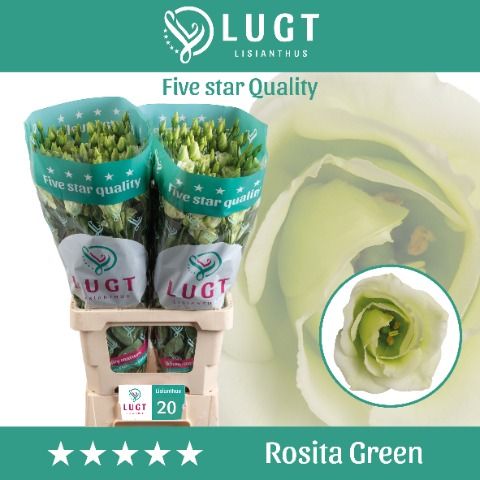 Eus G Rosi Green