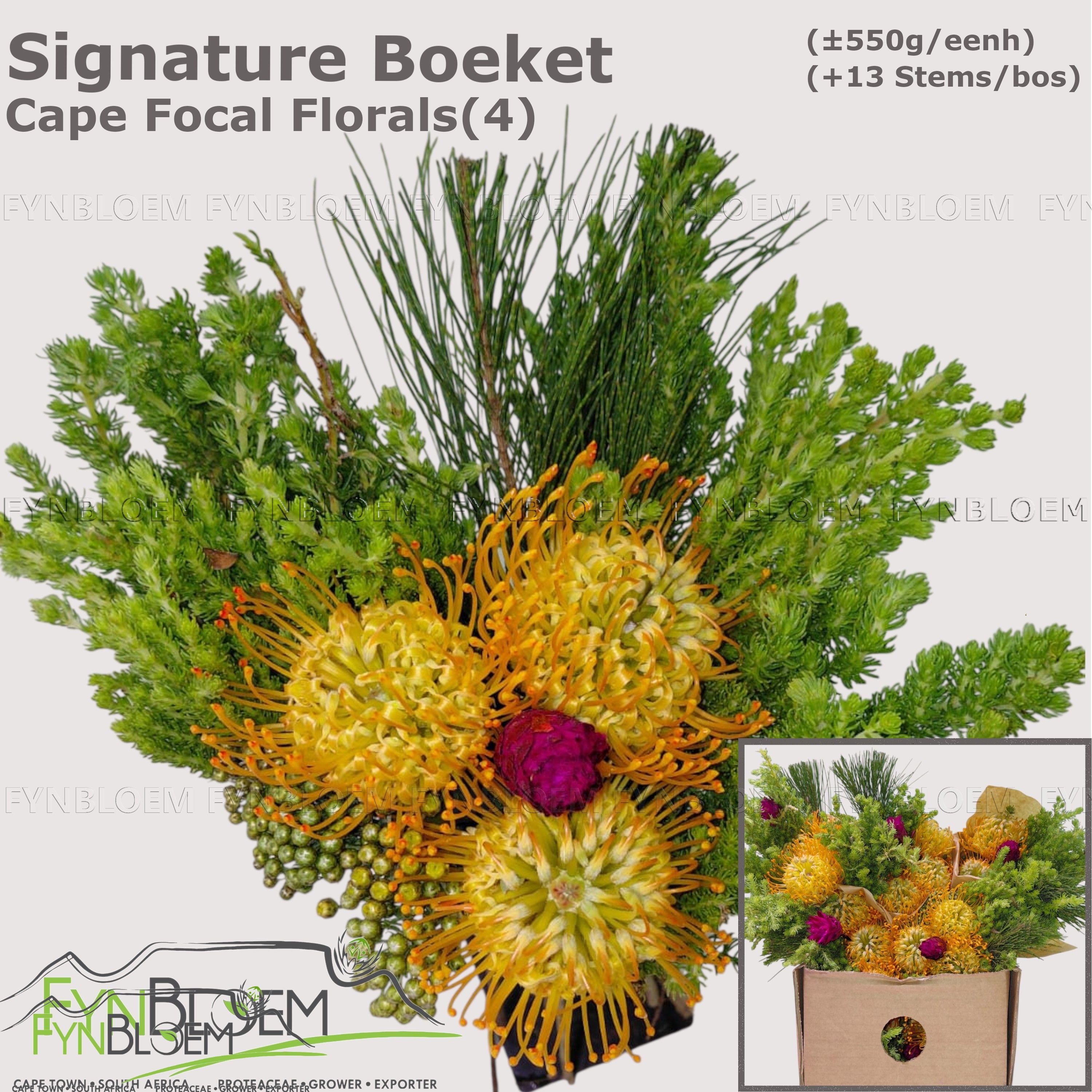 Protea Bouquet Per Bunch 40cm