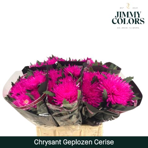 Chr G Topspin Cerise