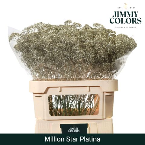 Gyps Million Star L80 Metallic Platina