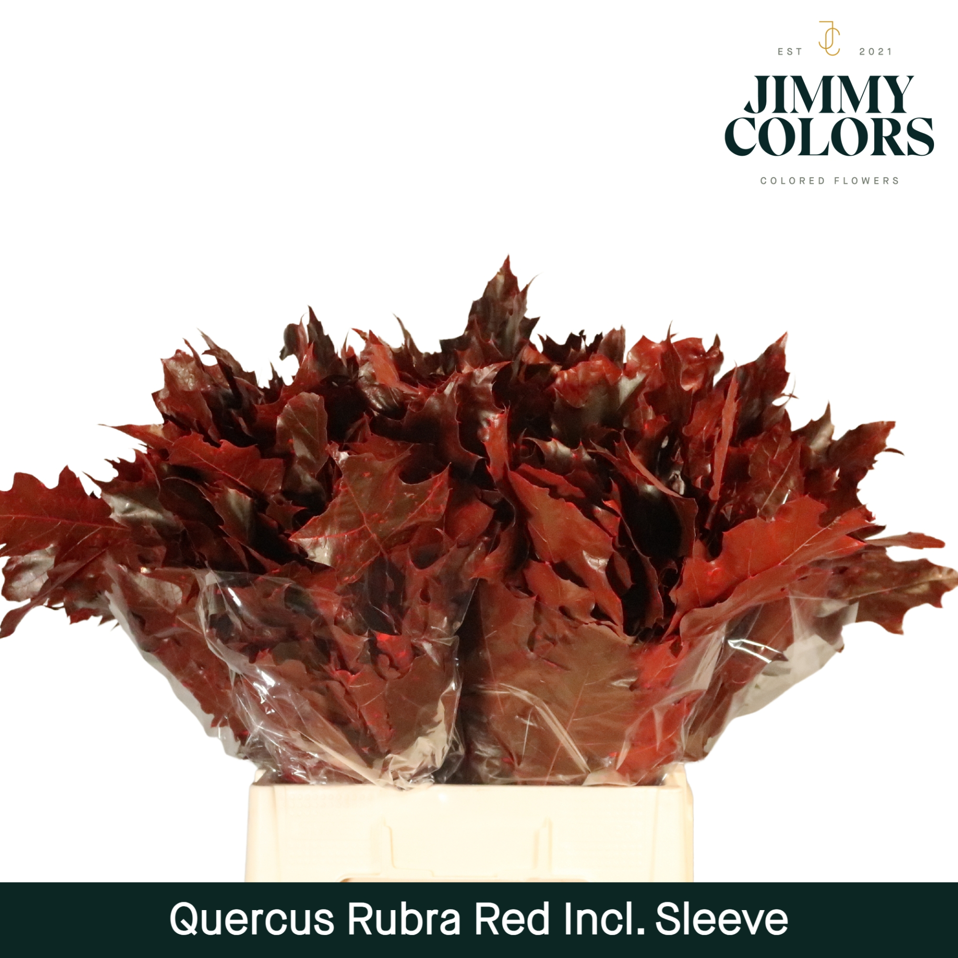 Quercus Rubra Sleeve L60 Rood