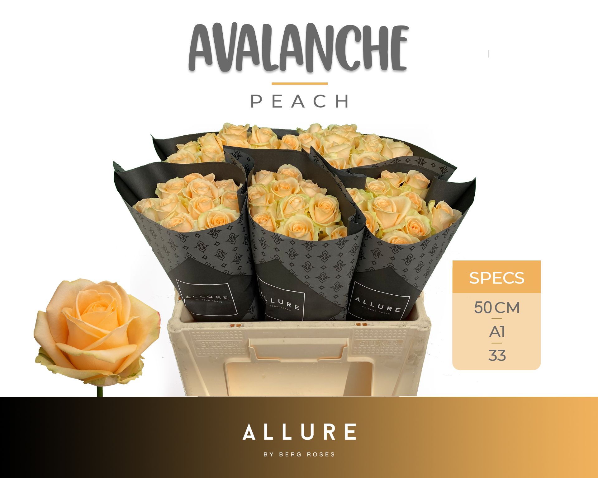 R Gr Avalanche Peach